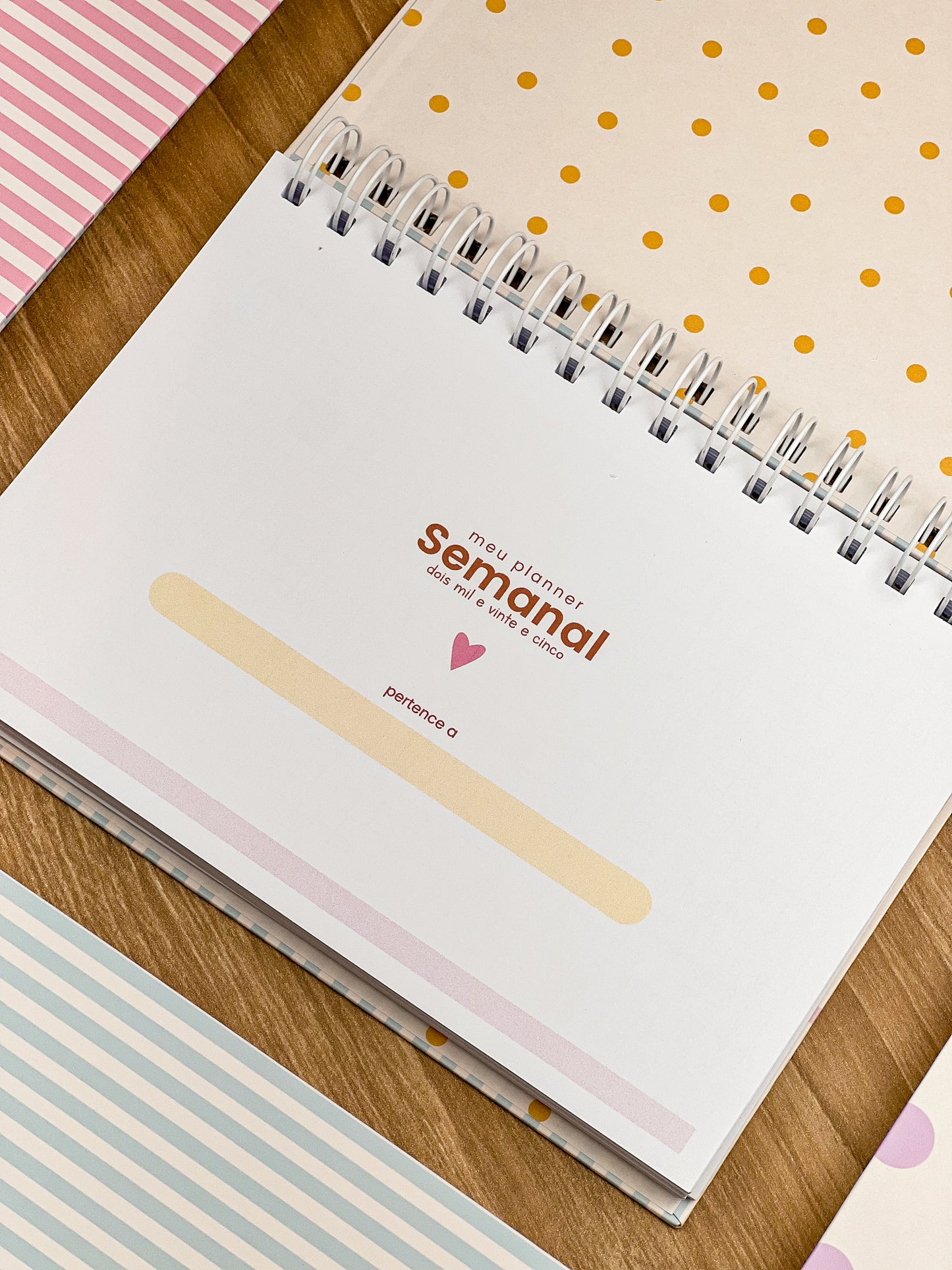 Planner Duo fofo