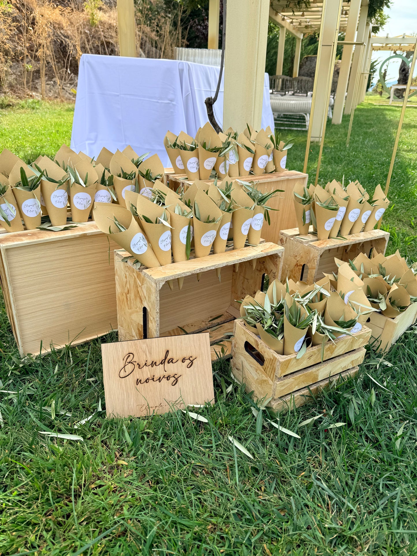 Cone Elisangela&Filipe