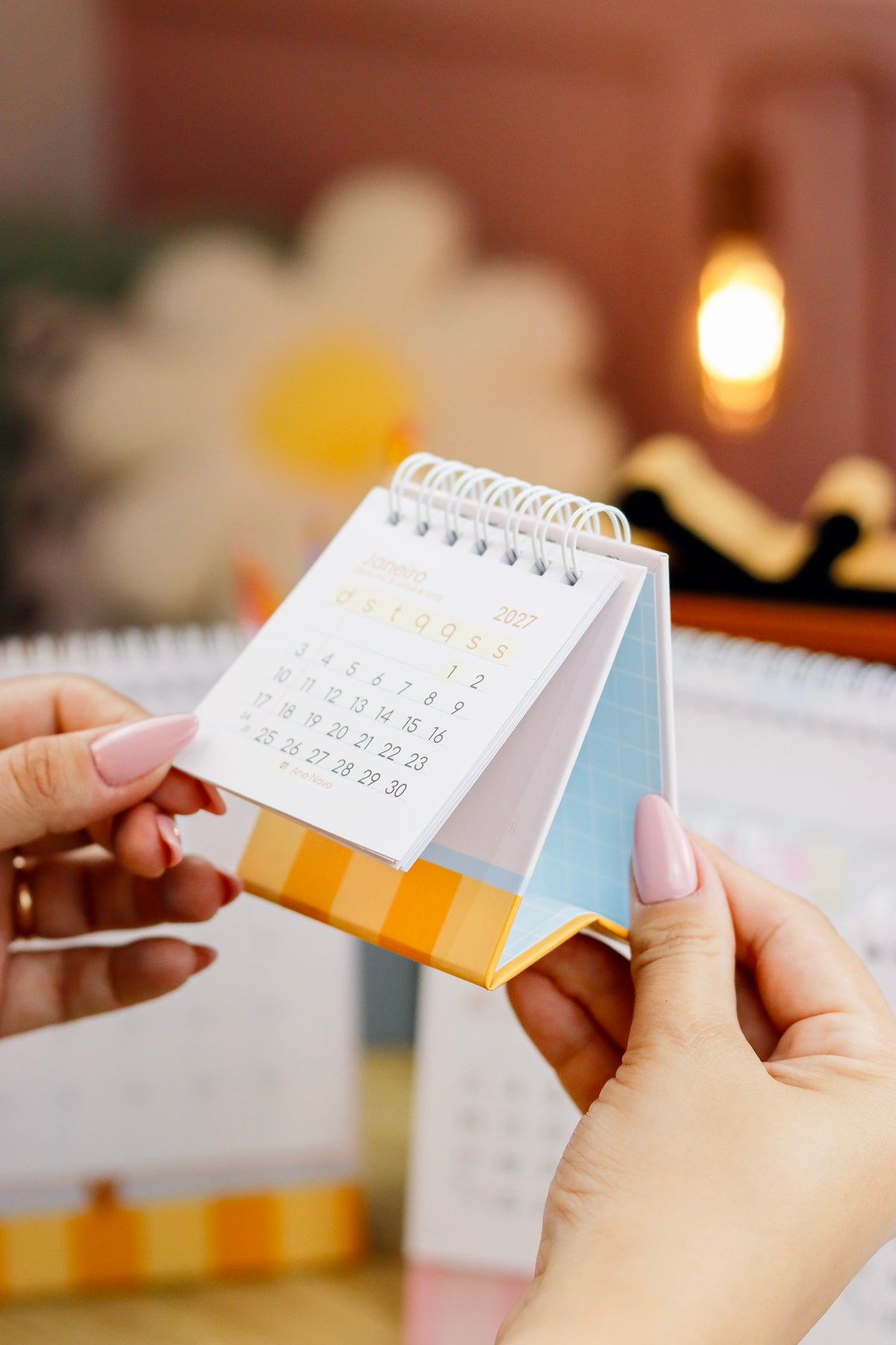 Combo Agenda fofa 2027+mini calendário