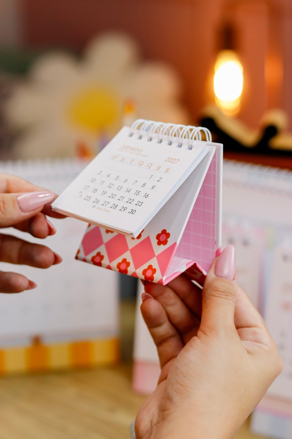 Combo Agenda fofa 2027+mini calendário