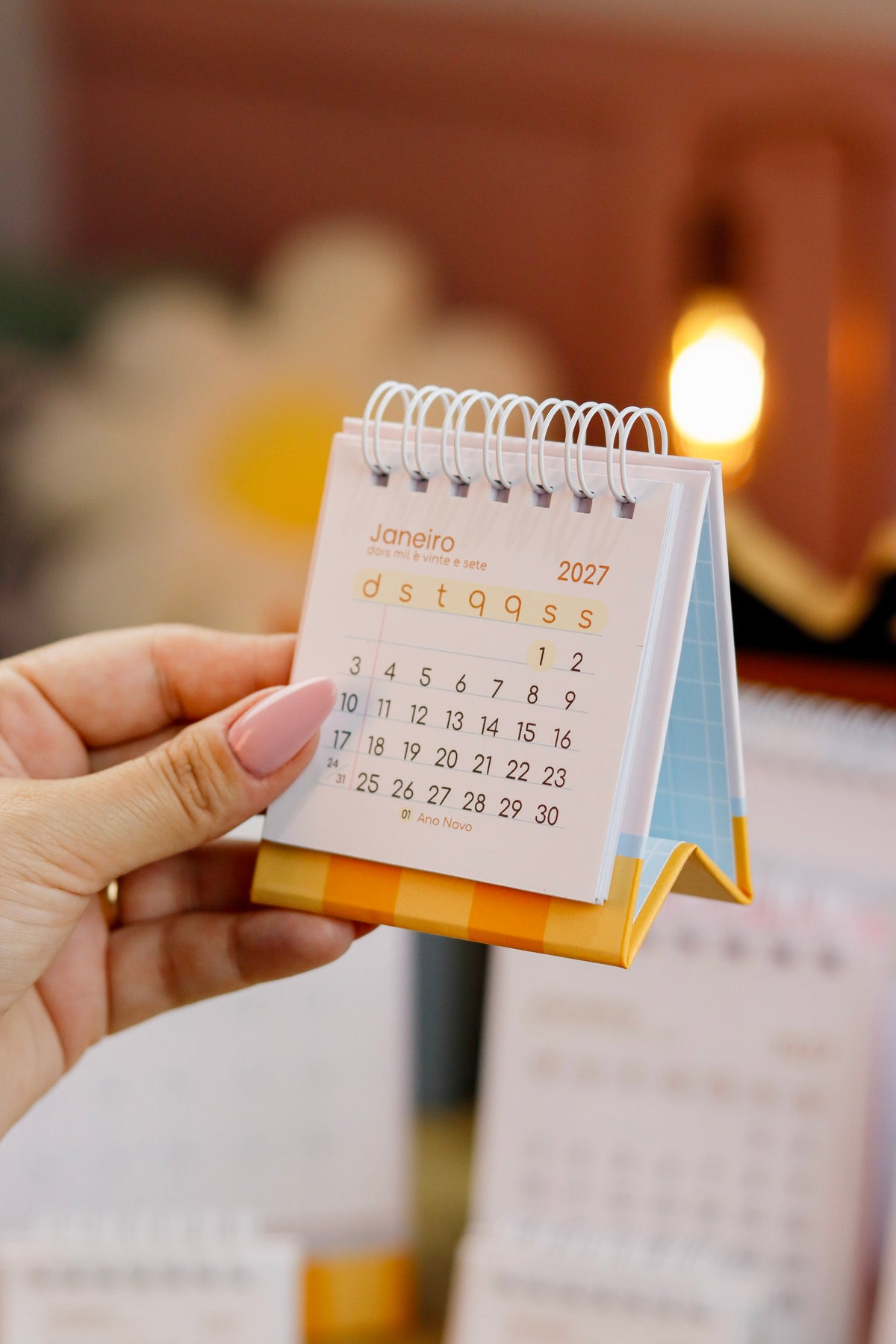 Combo Agenda fofa 2027+mini calendário