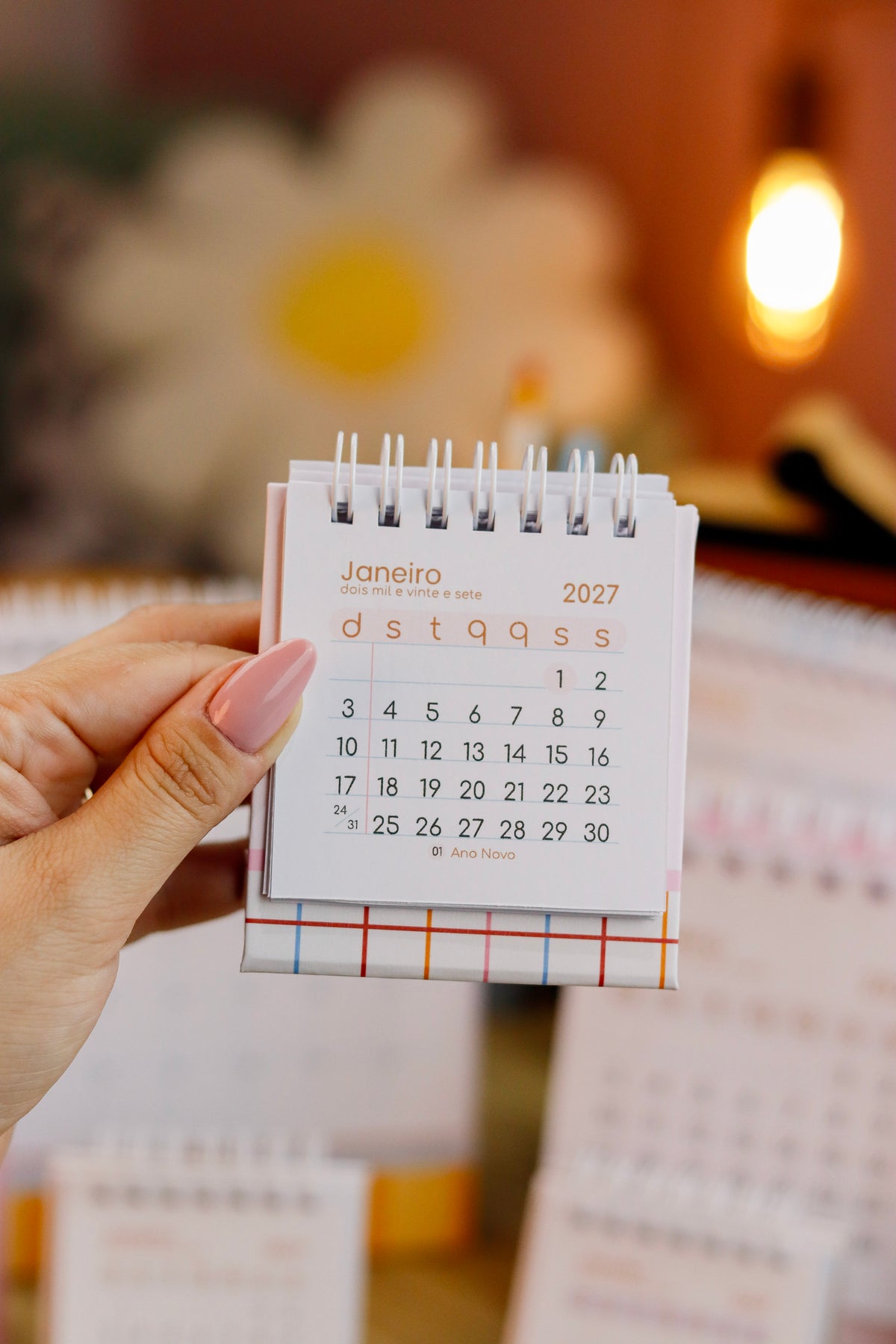 Combo Agenda fofa 2027+mini calendário